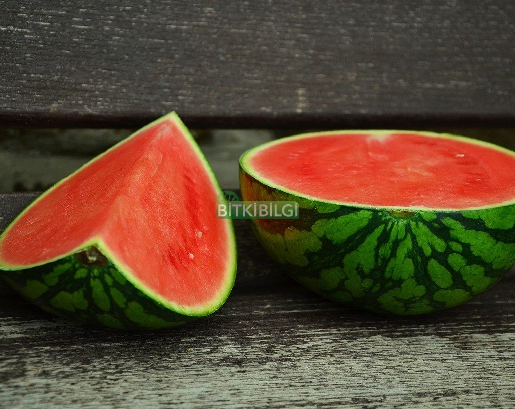 Karpuz