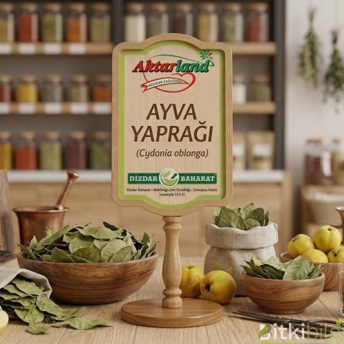 Ahşap bir zemin üzerinde duran kurutulmuş yeşil ayva yaprakları.