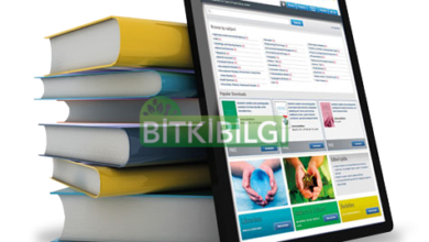 bilgi kaynakları