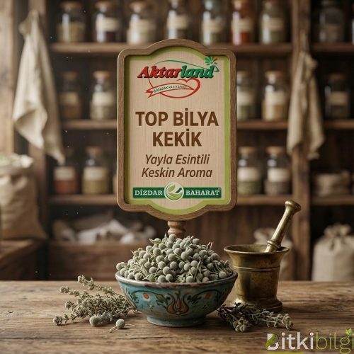 Top Bilya Kekik