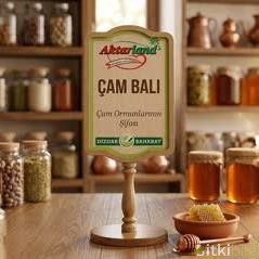 cam-bali.jpeg