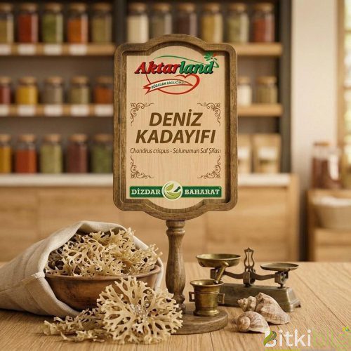 Kurutulmuş açık kahverengi ve krem renkli deniz kadayıfı yosunları, yanında bir bardak sütlü deniz kadayıfı içeceği.