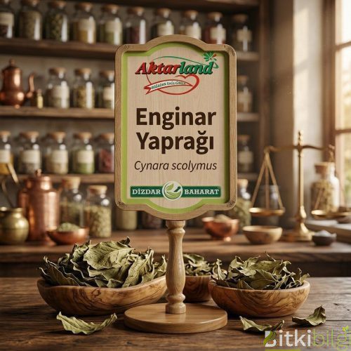 Enginar Yaprağı