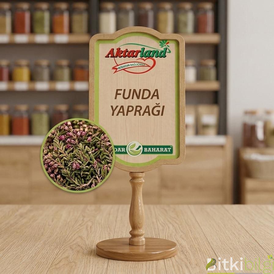 Funda Yaprağı