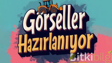 gggorsel