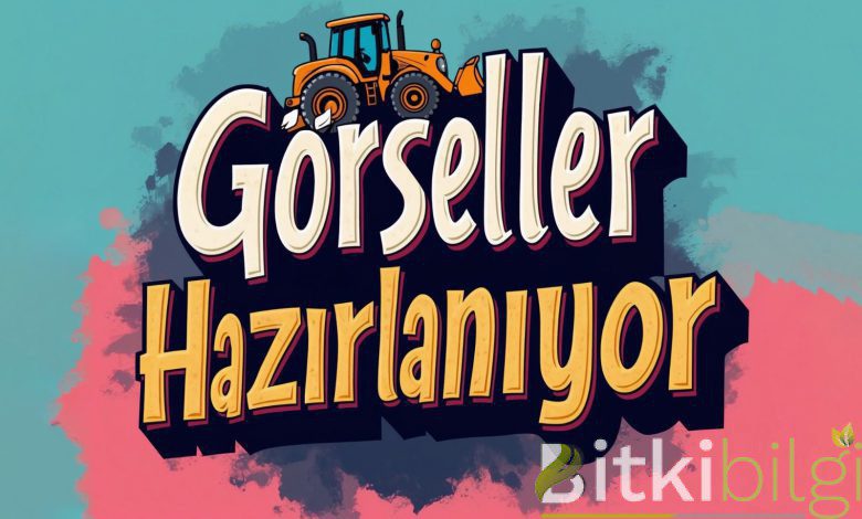 gggorsel