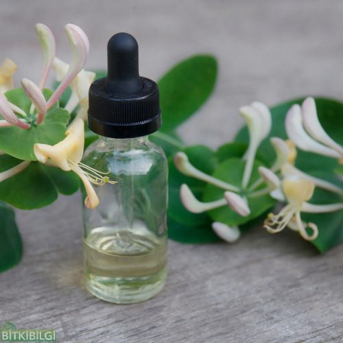 hanimeli-yagi-20-ml