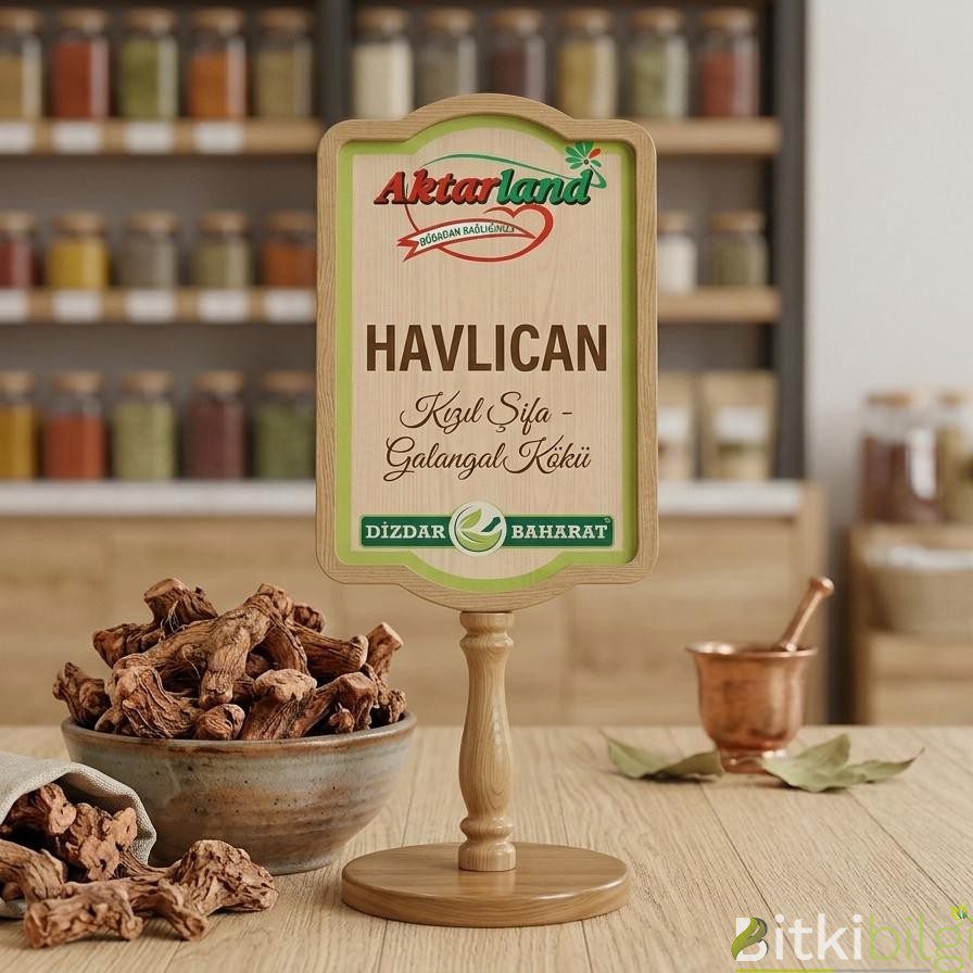 Havlıcan