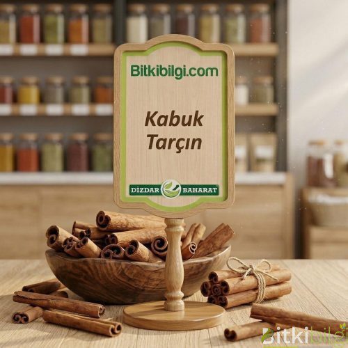 Ahşap bir zemin üzerinde duran kurutulmuş kabuk tarçın çubukları.