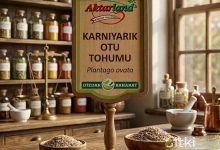 karni-yarik-otu-tohumu