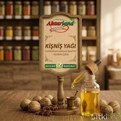 Kurutulmuş yuvarlak kişniş tohumları ve yanında bir şişe altın sarısı Kişniş yağı.