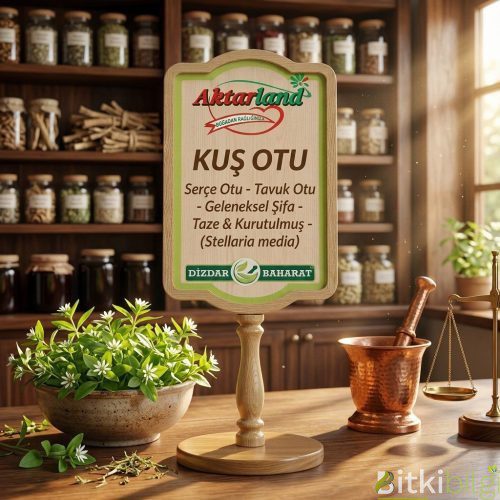Aktarland ve Dizdar Baharat markalı taze kuş otu (cücük otu) ve aktar ekipmanları