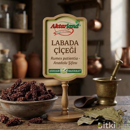Labada Çiçeği