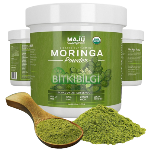 moringa haiti pure
