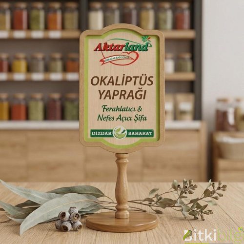 Okaliptüs Yaprağı