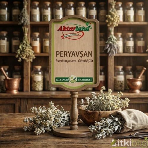 Peryavşan