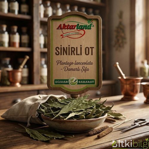 Sinirli Ot