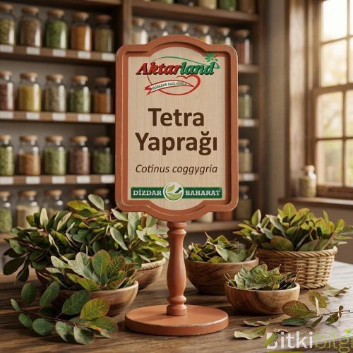 Ahşap bir zemin üzerinde duran kurutulmuş yeşil tetra yaprakları.
