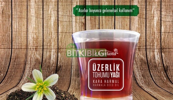 Üzerlik tohumu Yağı-Karaharmal yağı