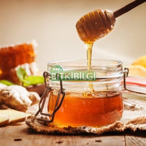 çiçek balı, apke dış ticaret ltd