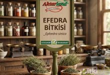 efedra