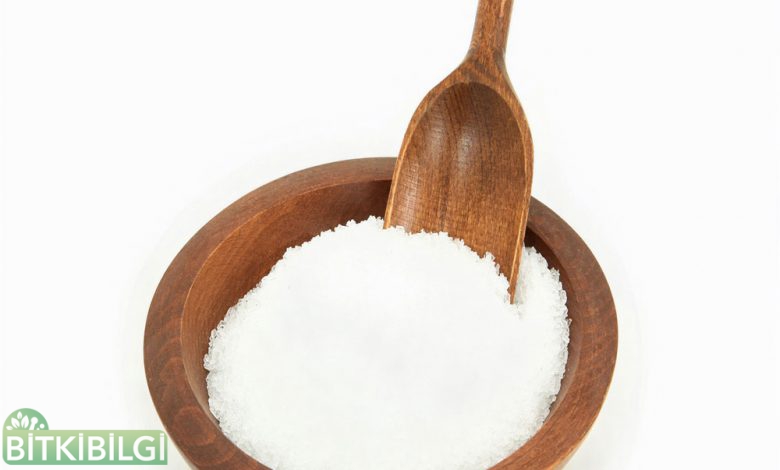 ingiliz-tuzu-epson-salt