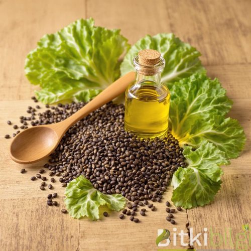 Lahana Tohumu Yağı