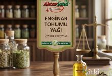 enginar-tohumu-yagi