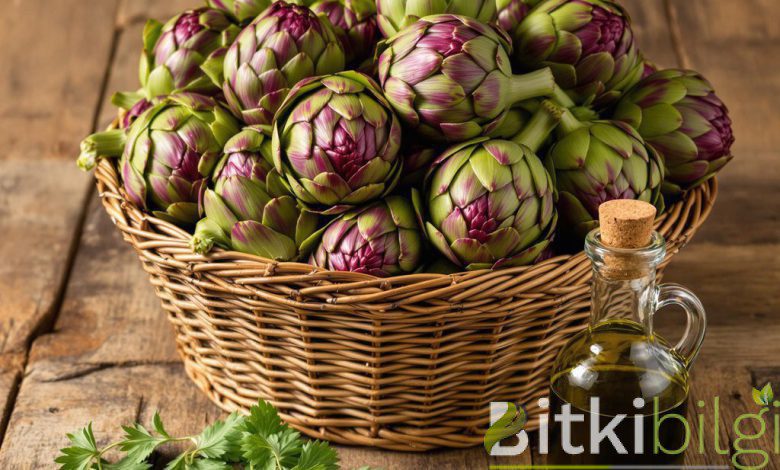 artichoke-seed-oil